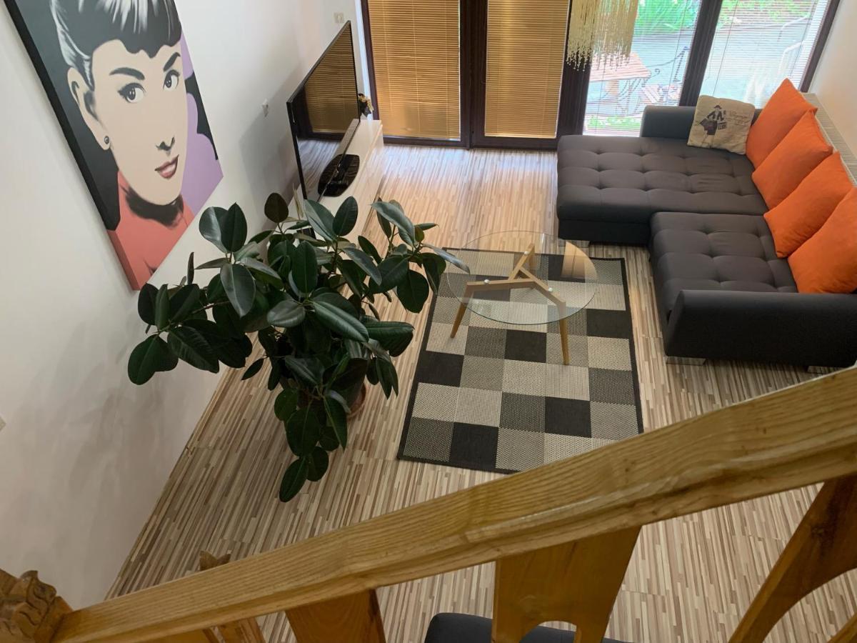 Pension Nest - Family Apartman Mosonmagyaróvár エクステリア 写真
